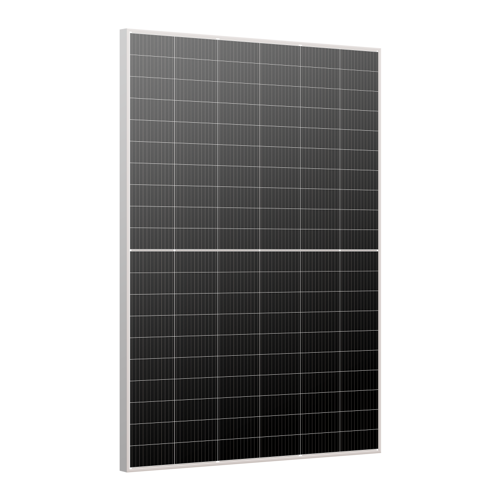 Bifacial Dual Glass Mono Module